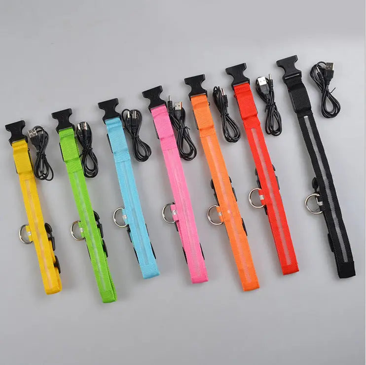 Nylon LED Pet Dog Luminous