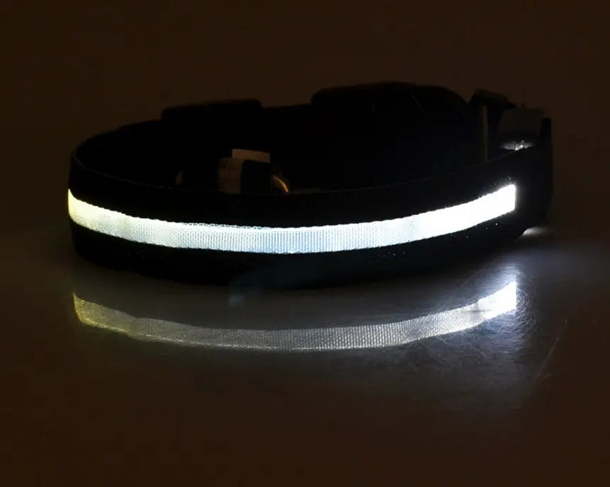 Nylon LED Pet Dog Luminous