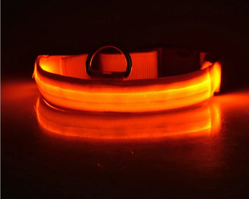 Nylon LED Pet Dog Luminous