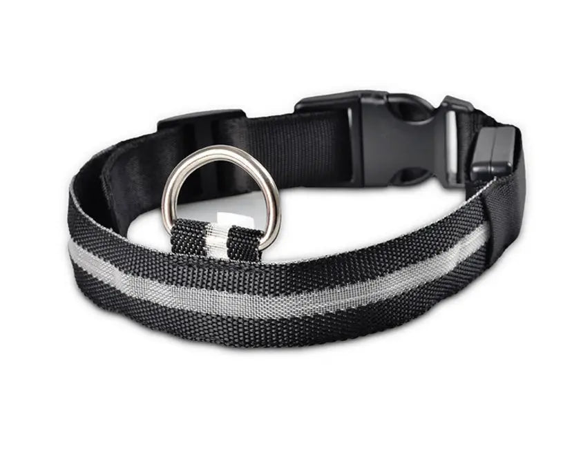 Nylon LED Pet Dog Luminous